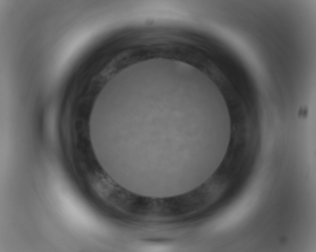 X0000113230189200910081414