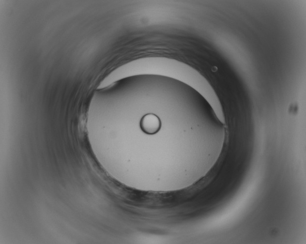 X0000113230190200910081414