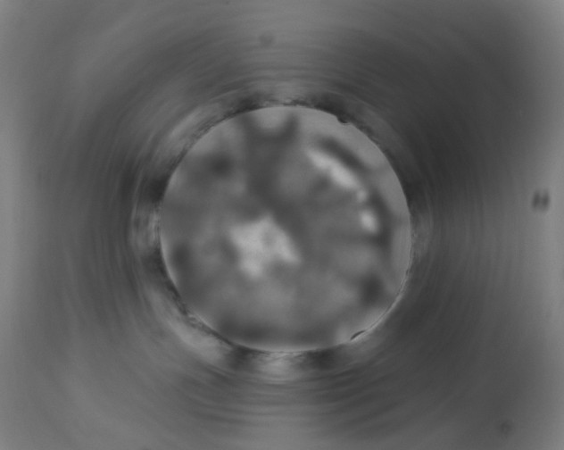 X0000113230191200910081414