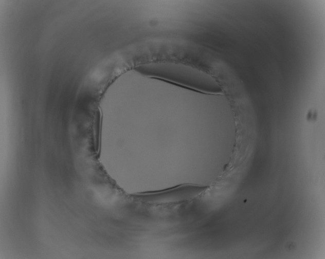 X0000113230192200910081415