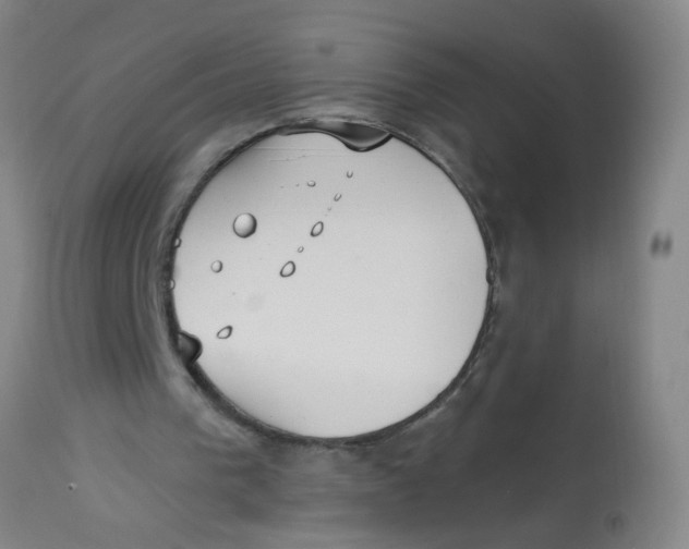 X0000113230193200910081414