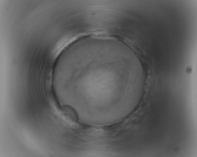 X0000113230194200910081414