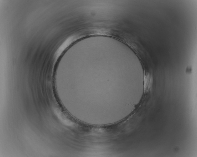 X0000113230195200910081414