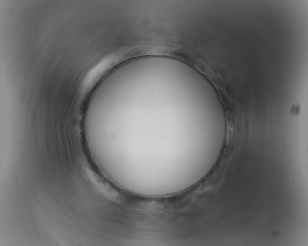 X0000113230197200910081414