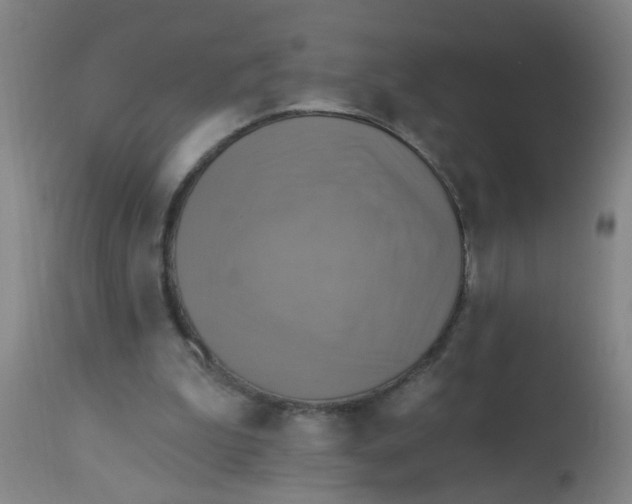 X0000113230199200910081414