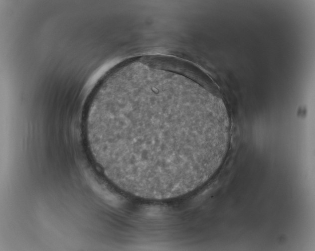 X0000113230200200910081414