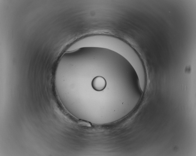 X0000113230201200910081414