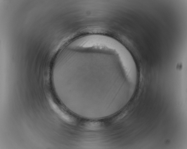 X0000113230202200910081414