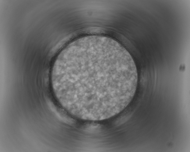 X0000113230206200910081413