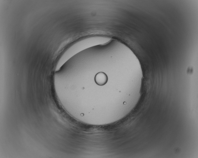 X0000113230207200910081413