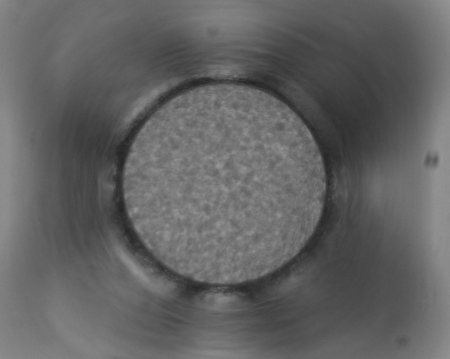 X0000113230208200910081413