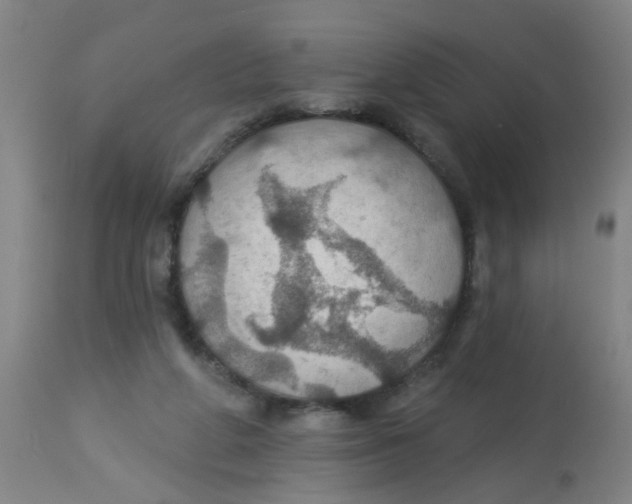 X0000113230210200910081413