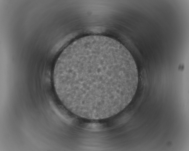 X0000113230212200910081413