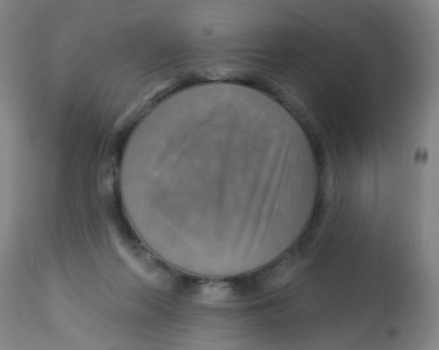 X0000113230214200910081413