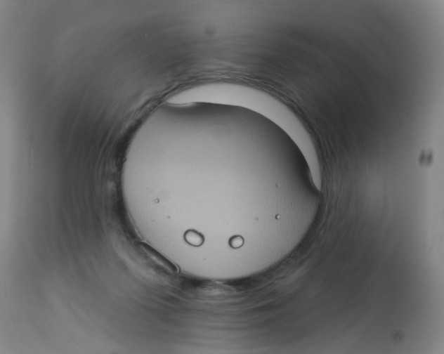 X0000113230215200910081413