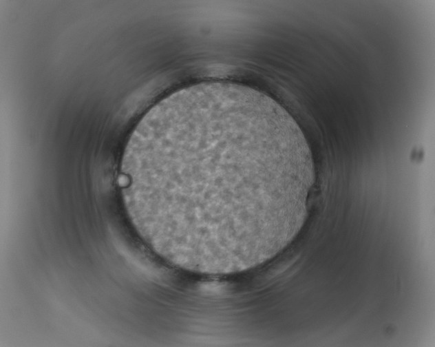 X0000113230216200910081413