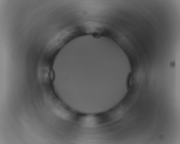 X0000113230219200910081413