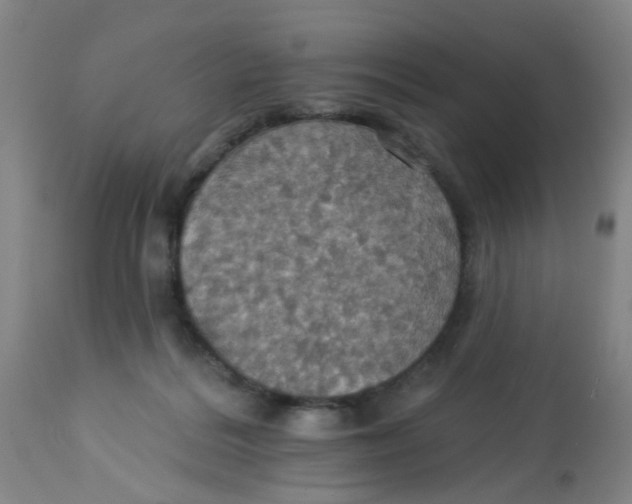 X0000113230220200910081413