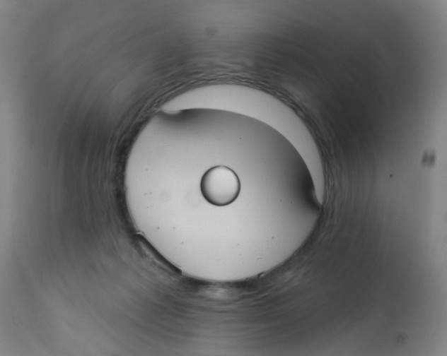 X0000113230221200910081413