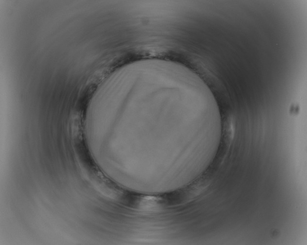 X0000113230222200910081413