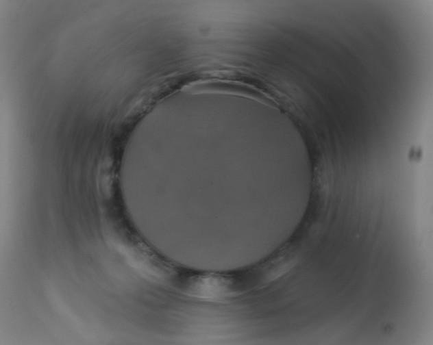 X0000113230223200910081413