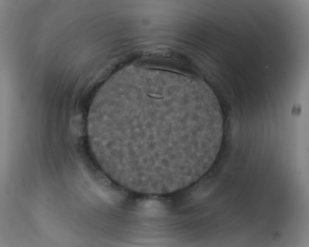 X0000113230224200910081413