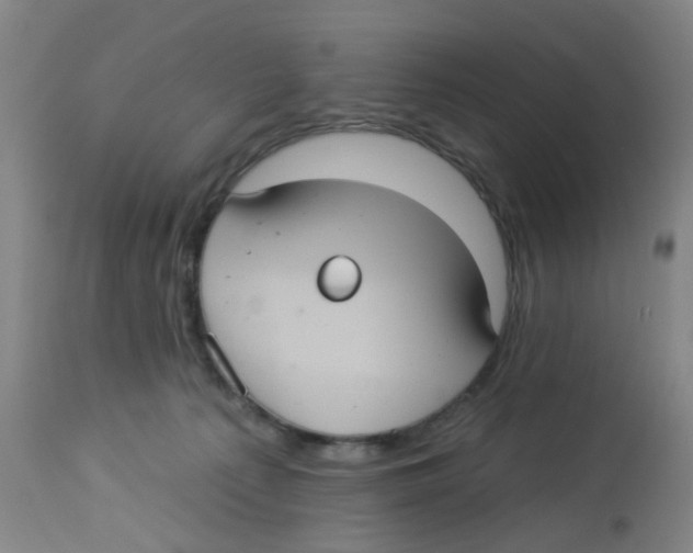 X0000113230225200910081413