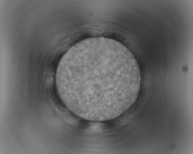 X0000113230226200910081413