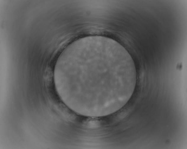 X0000113230228200910081413