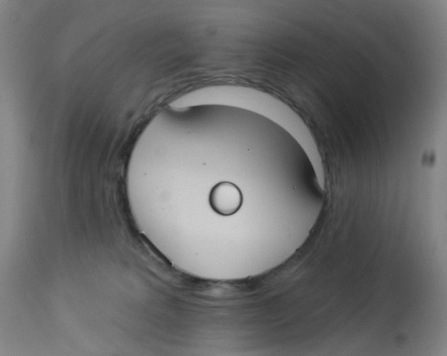 X0000113230229200910081413