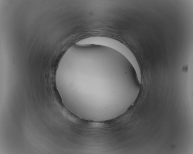 X0000113230233200910081413