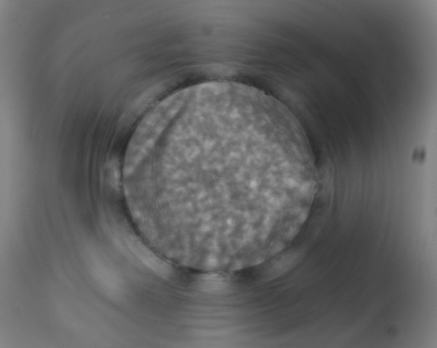 X0000113230238200910081413