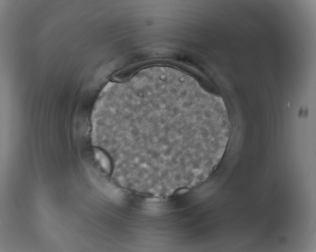 X0000113230240200910081413