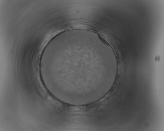 X0000113230241200910081412