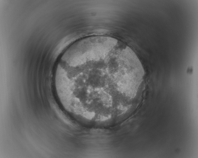 X0000113230242200910081412