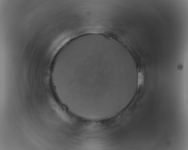 X0000113230243200910081412