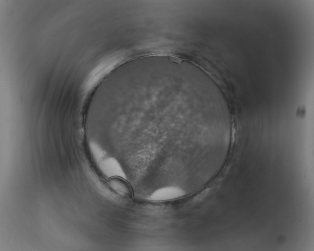 X0000113230245200910081412