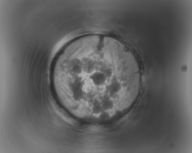 X0000113230246200910081412