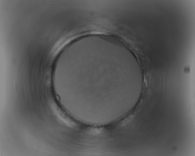 X0000113230247200910081412