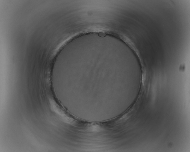 X0000113230249200910081412