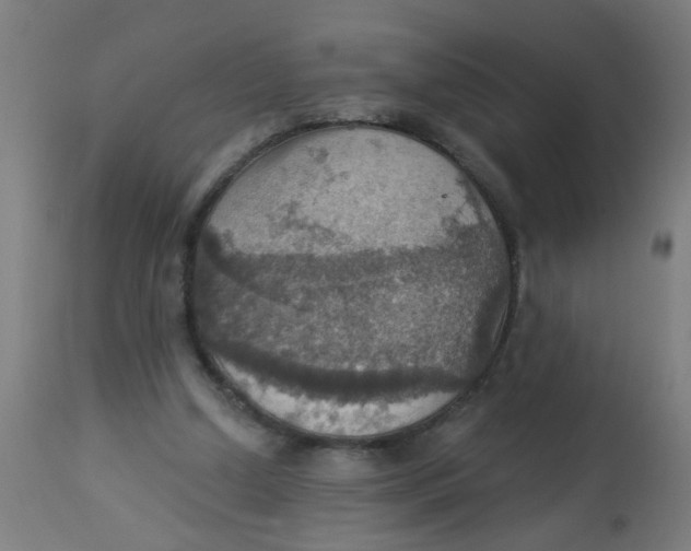 X0000113230250200910081412