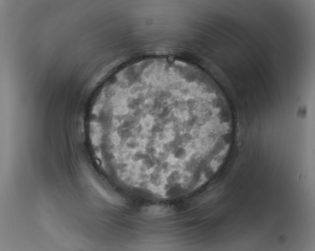 X0000113230251200910081413