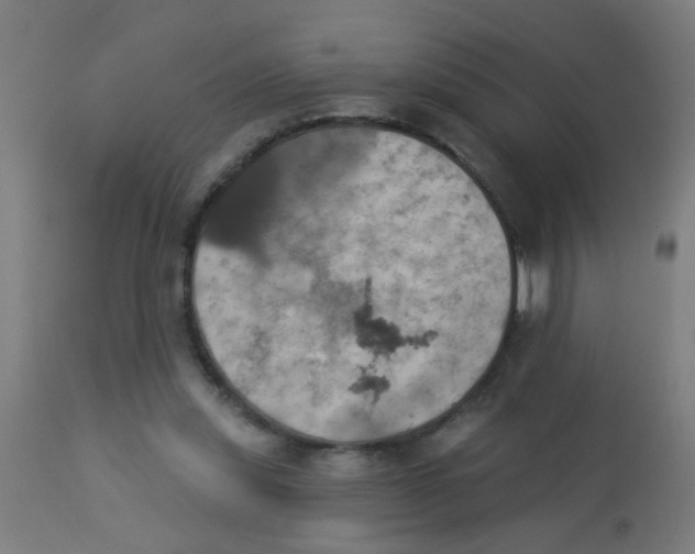 X0000113230253200910081413