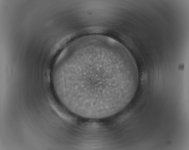 X0000113230254200910081413