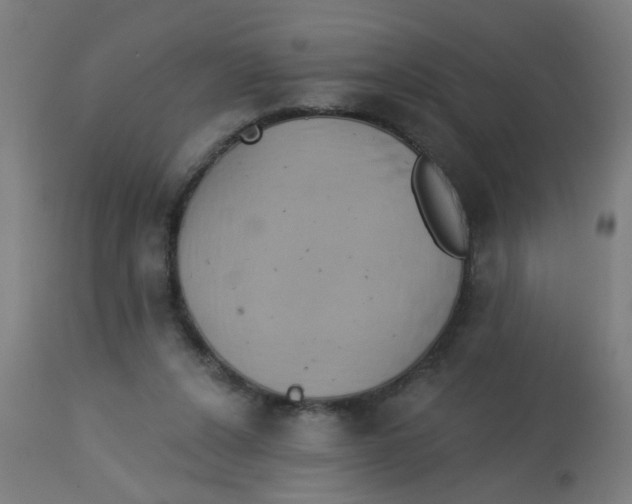 X0000113230256200910081413