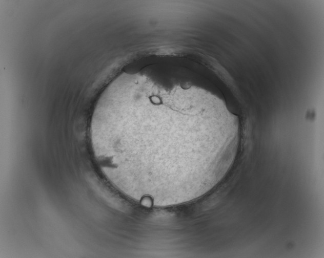 X0000113230257200910081413