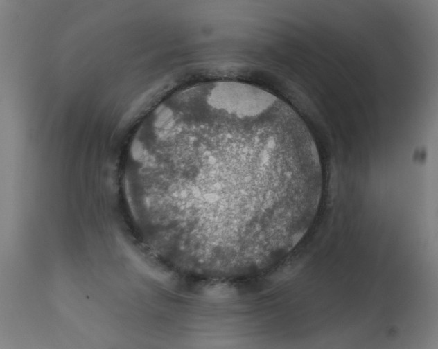 X0000113230258200910081413