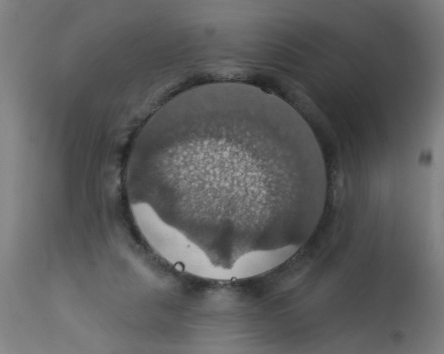 X0000113230259200910081413