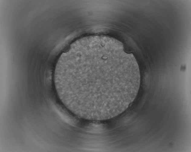 X0000113230260200910081413