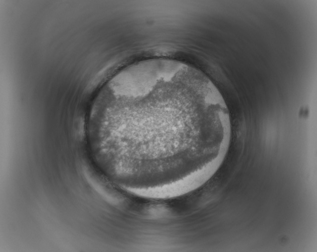 X0000113230262200910081413